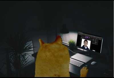 doge browses his favorite wacky and uncharacteristic subreddit late at night