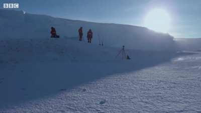 BBC crew rescues trapped Penguins