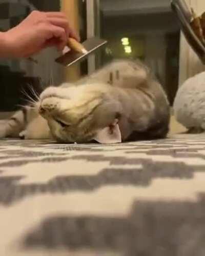 Aww yis that's the spot