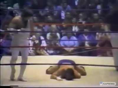 Terry Funk: Innovator of Twerking