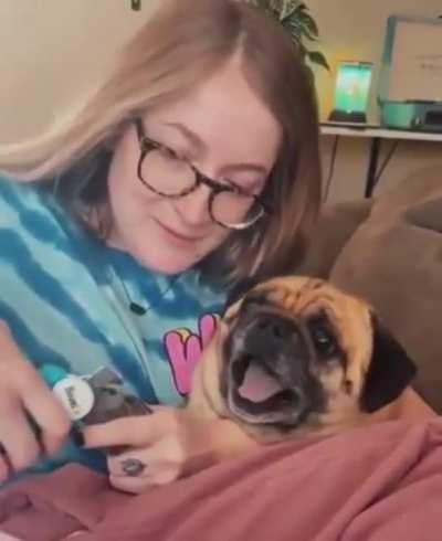 PuG sCrEaMs FoR mErCy As fInGeRs CuT oFf