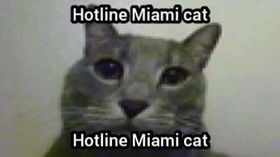 Hotline Miami cat