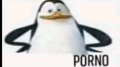 Porno