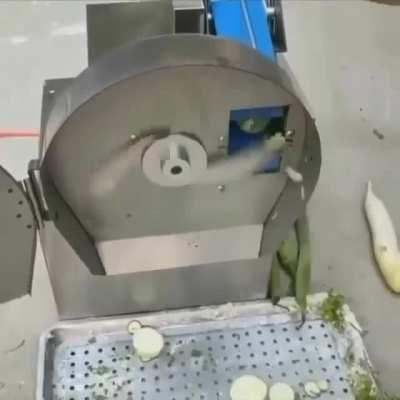 Cucumbers getting sliced ever so neatly