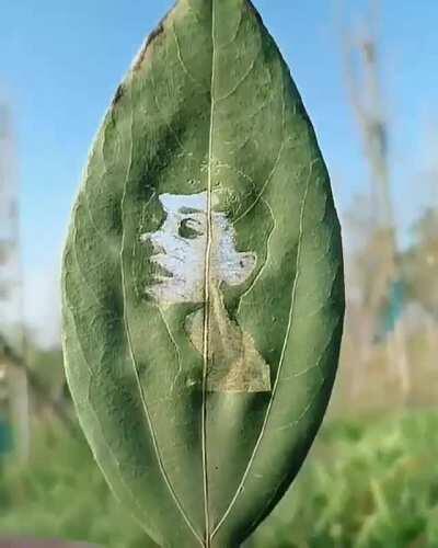 Portrait on a Leaf