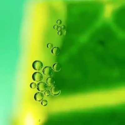 Real-time oxygen production on a leaf 🍃