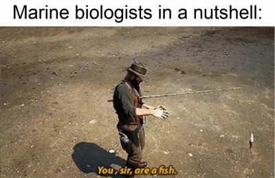 Howdy, fishy