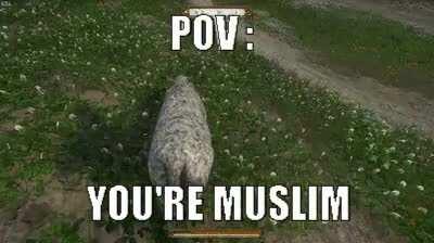 Muslim POV