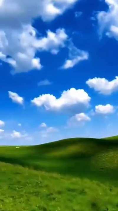 driving through windows xp background