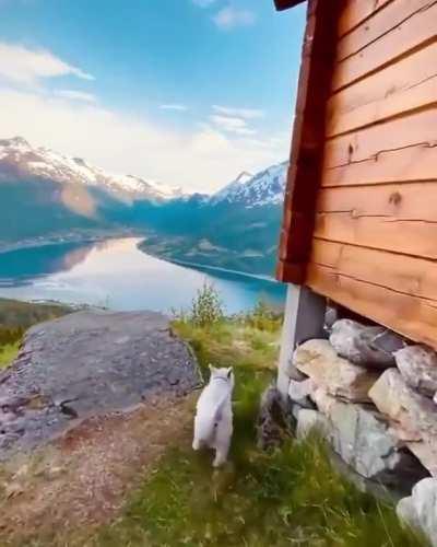 Evening walks in Norway