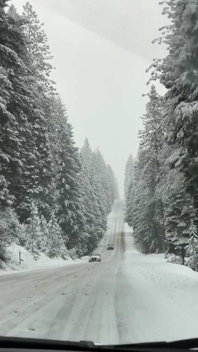 Driving through beautiful snowy mountains on a road trip from Oregon to Nevada