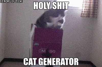 Cat generator