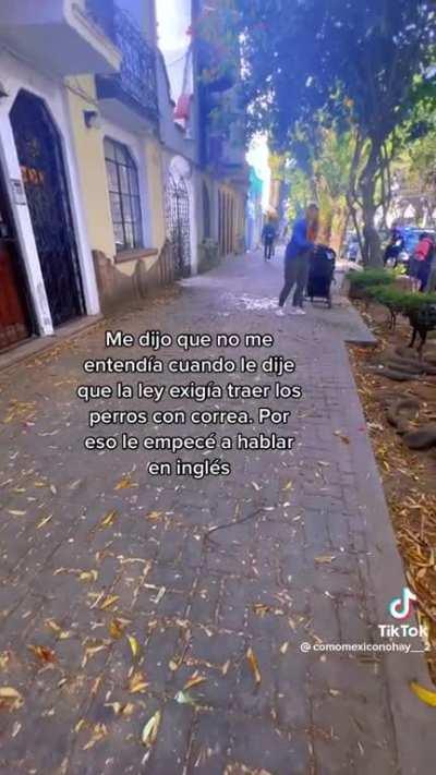 Una mexicana acosando extranjeros en la calle