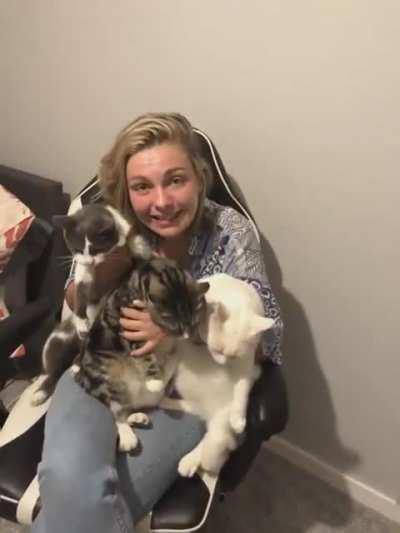 Woman tries to pose with all of her three cats together WHAT COULD POSSIBLY GO WRONG??