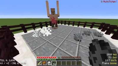 I added FitMC to Minecraft