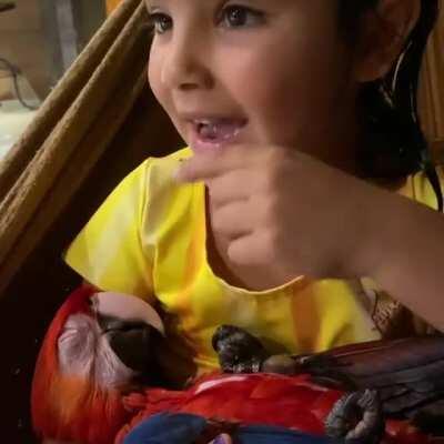 Adorable girl cuddling with her friend Macaw