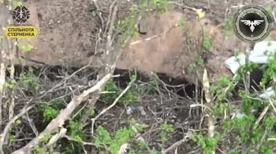 Russian sniper group was eliminated by FPV drones. 47th brigade, Berdychi area.