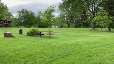 When a greyhound gets the park to herself.