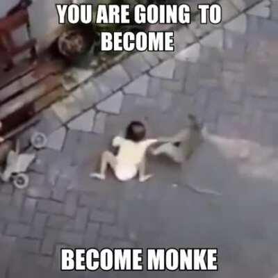 You will become epic monke