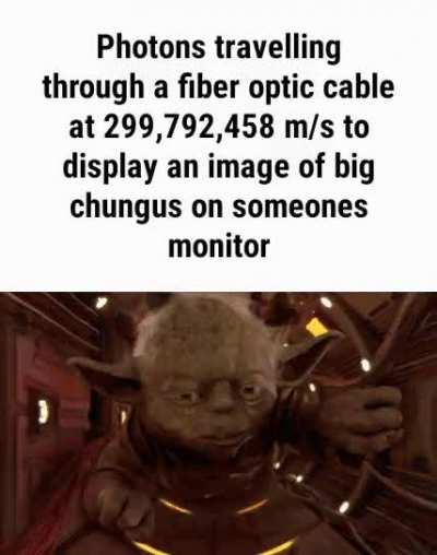 big chungus 😎