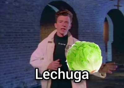 Lechuga