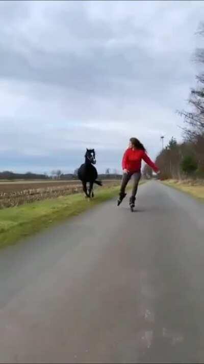 She Takes Her Running Mate Out For A Run While She Inline Skates