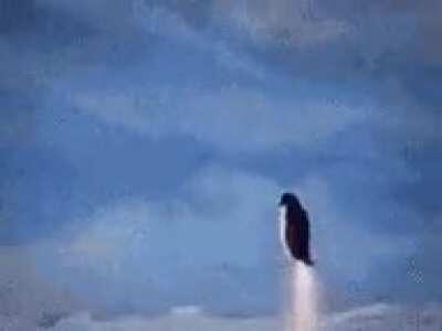 Penguin missile