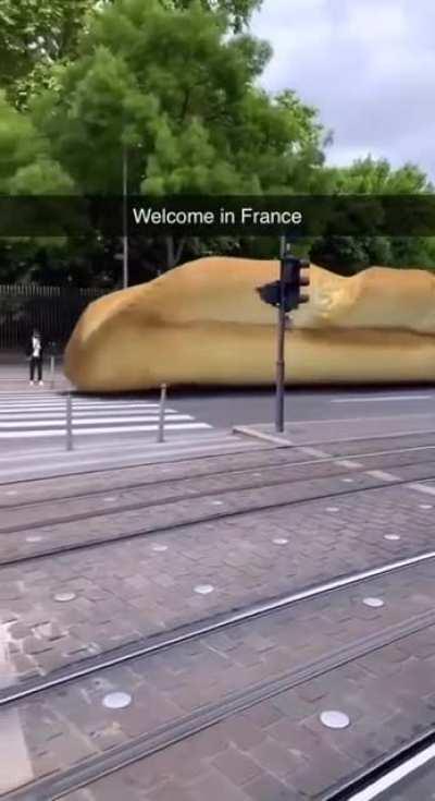 The French are preparing for war.