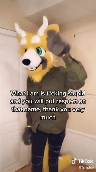 Furry humor