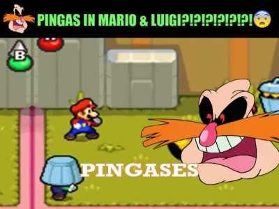 pingas in mario and luigi