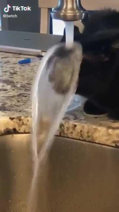 To take a drink