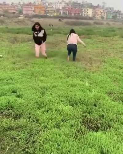 Water trapped beneath the grass in Kathmandu