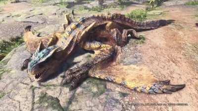 Dodogama may be cute, but have you ever seen a Tigrex relaxing in the sun?