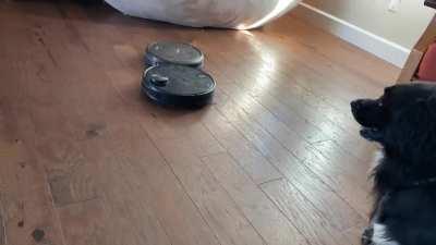 ROOMBA KOMBAT