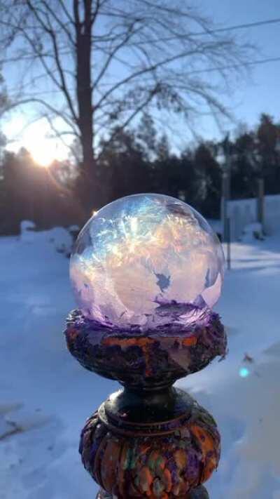 Ice crystals forming on a bubble as it freezes