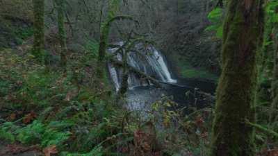 Trail of Ten Falls, Silver Falls State Park, Oregon