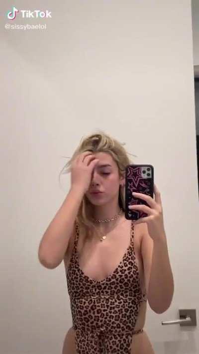 🐆