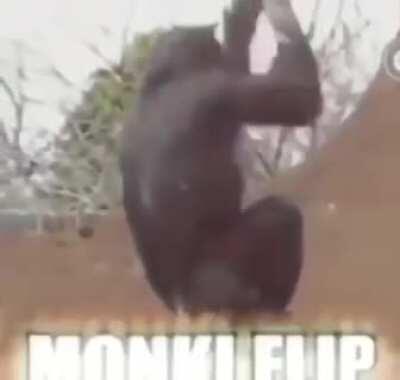 Monki Flip