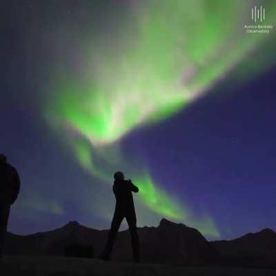 Spectacular Pink and purple auroras