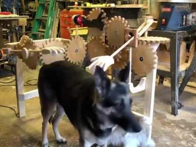 This device made from wood for petting Good Boys