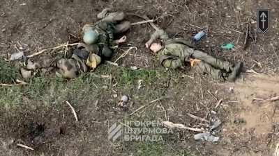 Ukrianian drone dropping munitions on Russian soldier that pretended to be killed (kharkiv region )