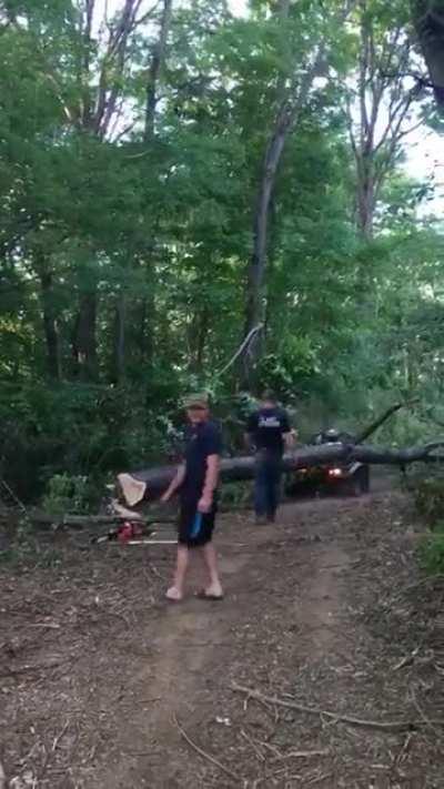 HMB while I chop down this tree