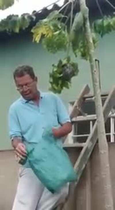 WCGW if I try to grab a beehive with a plastic bag