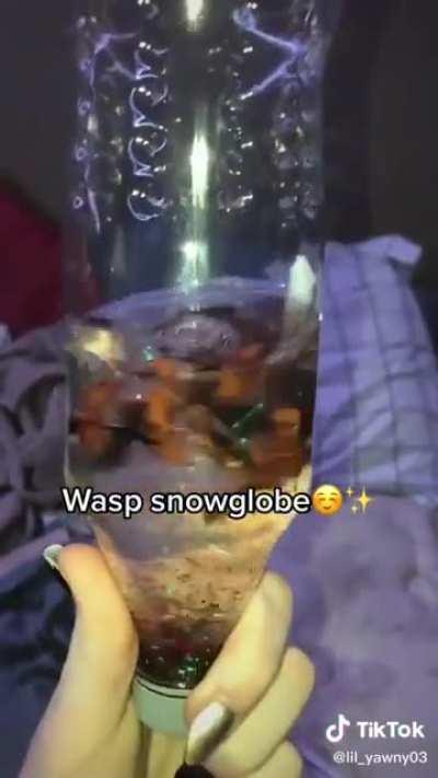 Wasp Snow Globe
