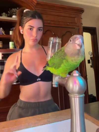 Andrea sports bra