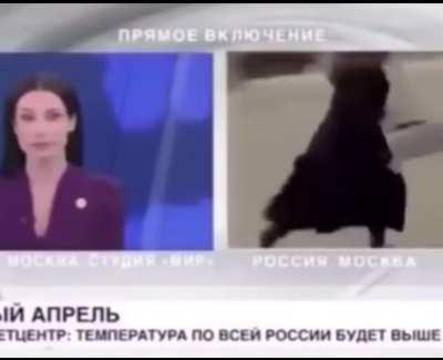 A dog in russia grabbed a reporter’s microphone and ran away during a live broadcast