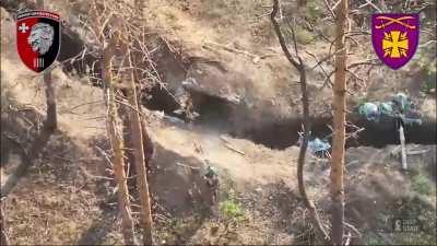 Russians managed to get to ukrainain trenches but fpv droens destroyed them donetsk region 