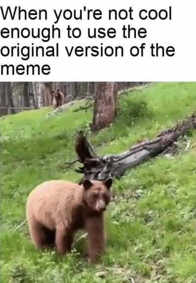 *Sad Bear Noises*