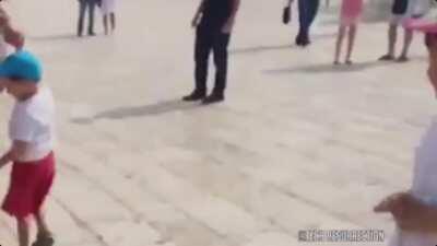 Nothing like a well-kicked rat to the face.