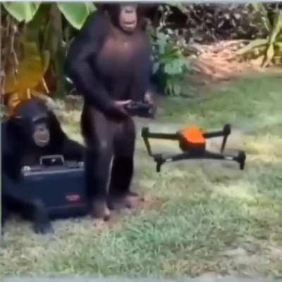 Monke more advance than human